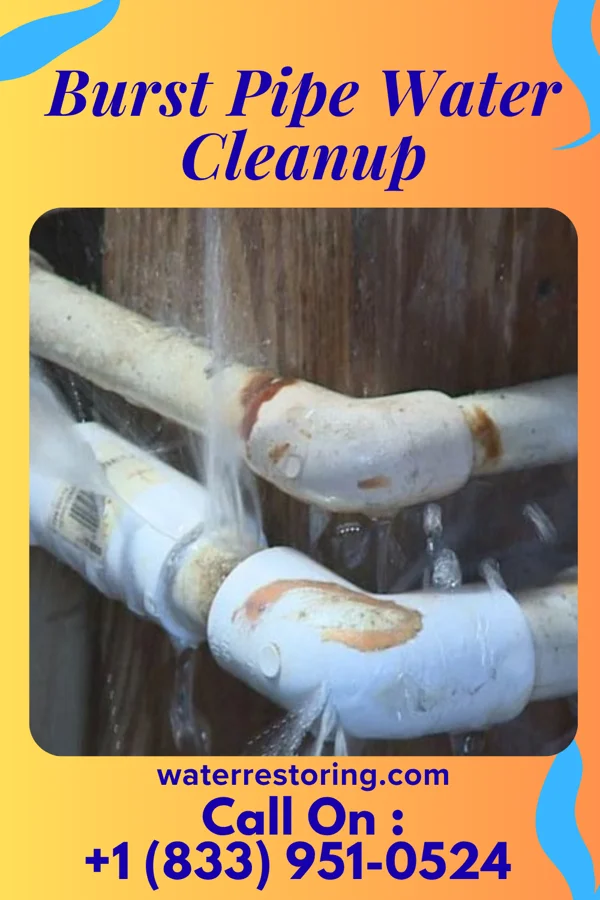 Burst Pipe Water Cleanup in Valley Falls, NY