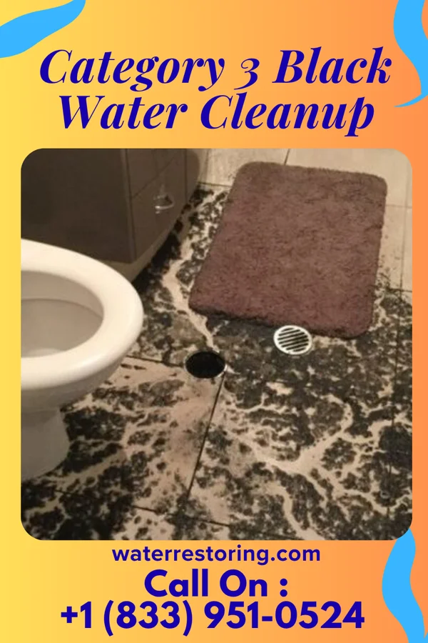Category 3 Black Water Cleanup in Valley Falls, NY