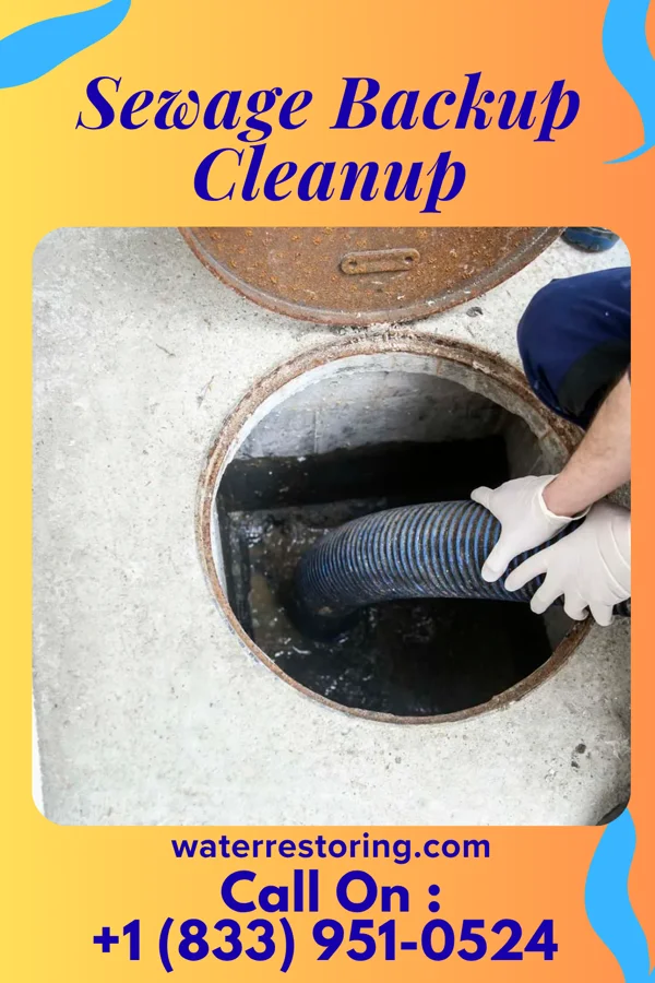 Sewage Backup Cleanup in Valley Falls, NY